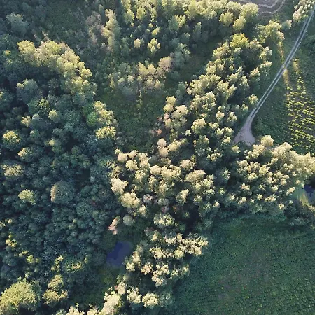 Apartment Lesny - Shuuumi Chmielno