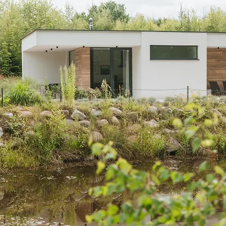 Lesny - Shuuumi Chmielno