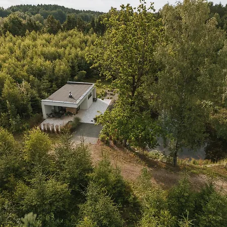 Lesny - Shuuumi Chmielno