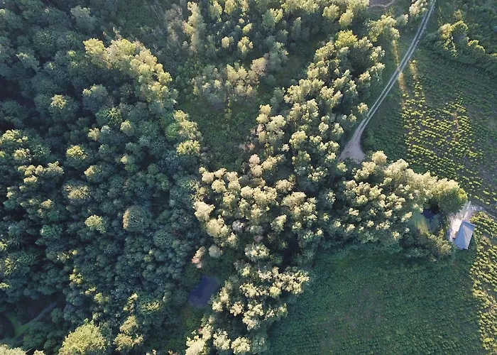 Apartmán Lesny - Shuuumi Chmielno