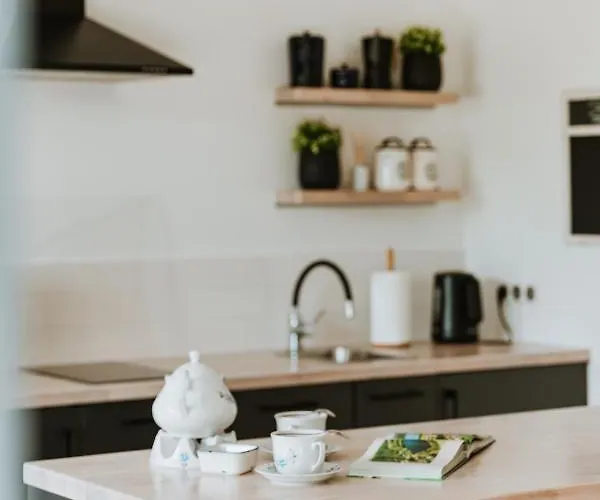 Apartmán Lesny - Shuuumi Chmielno