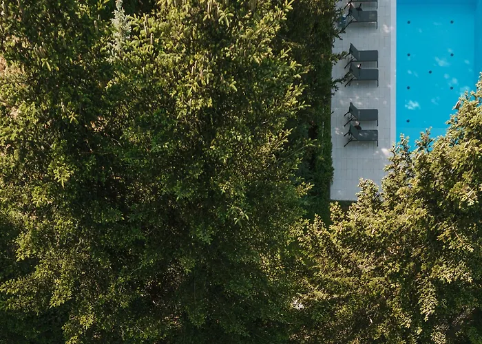 Apartmán Lesny - Shuuumi Chmielno