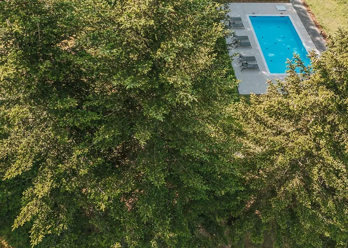 Lesny - Shuuumi Apartmán