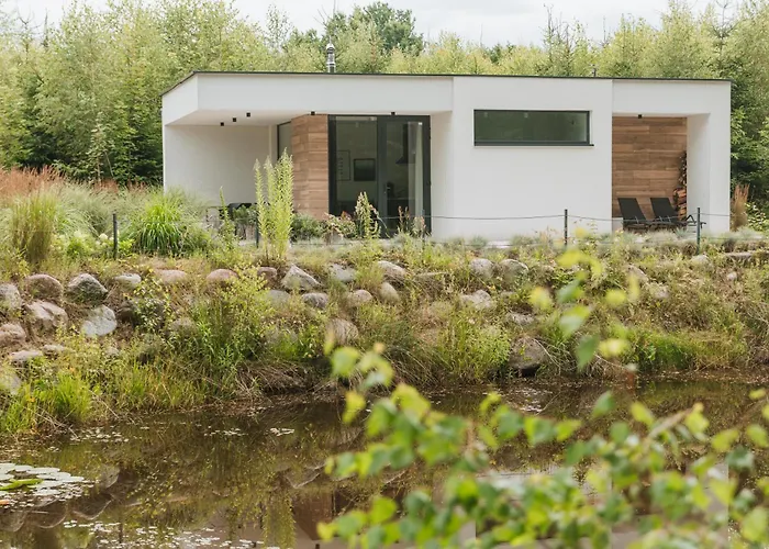 Lesny - Shuuumi Chmielno