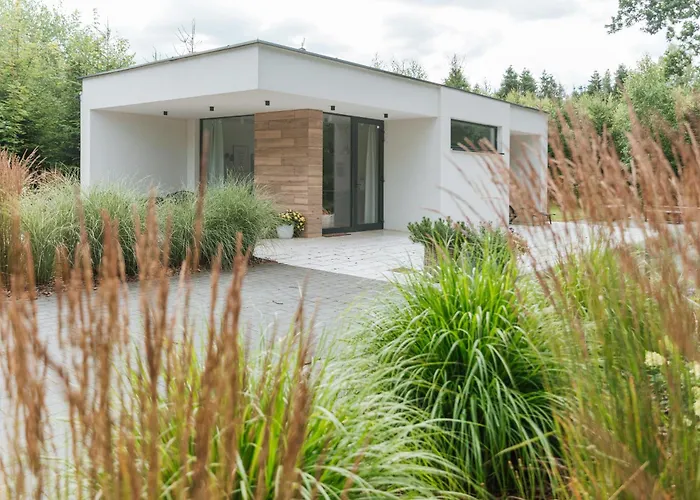 Lesny - Shuuumi * Chmielno