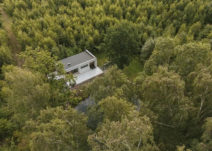 Apartmán Lesny - Shuuumi Chmielno