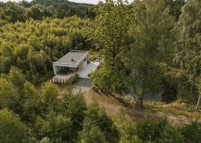 Lesny - Shuuumi Chmielno